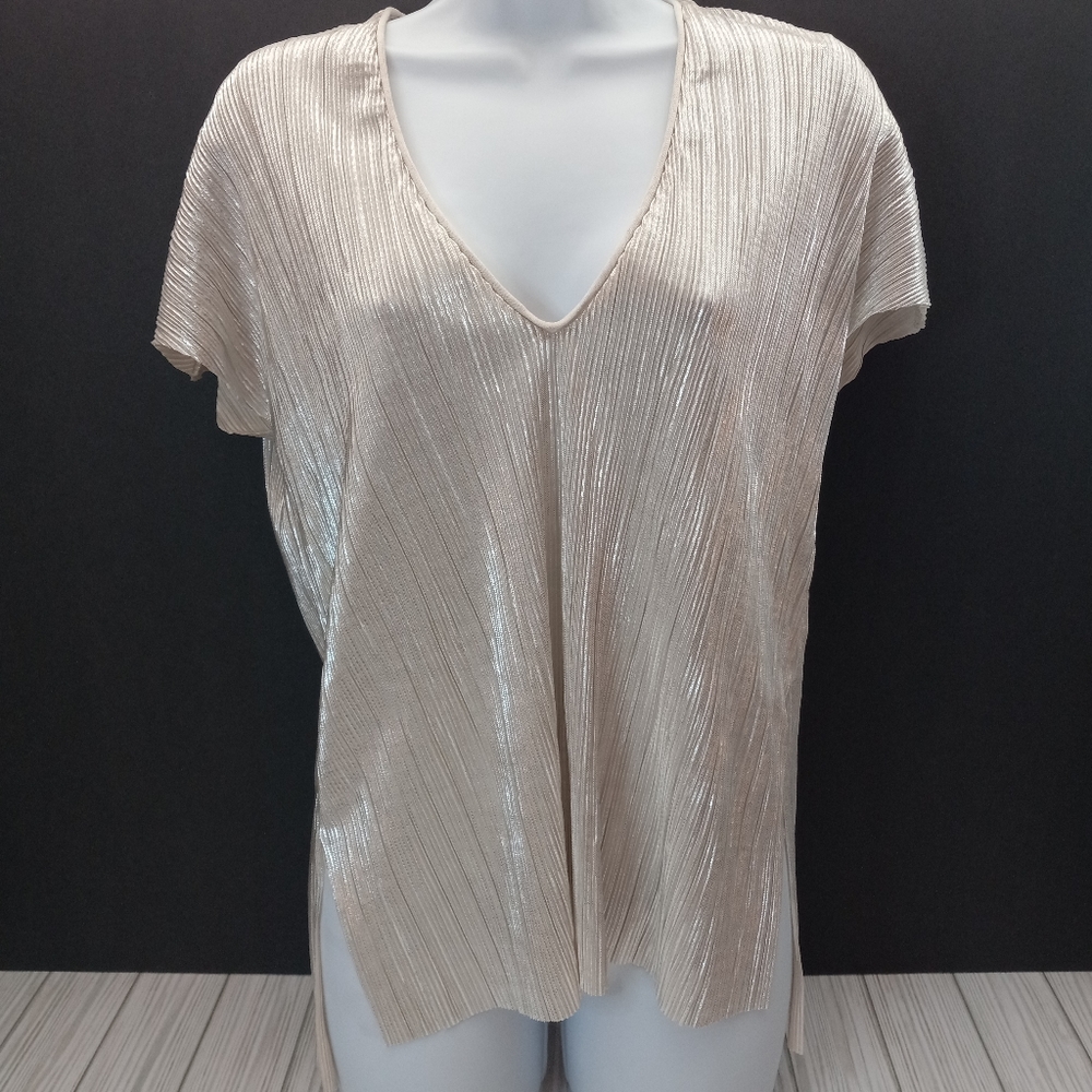 ZARA Metallic Ribbed Vneck Top